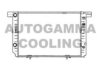 AUTOGAMMA 102157 Radiator, engine cooling